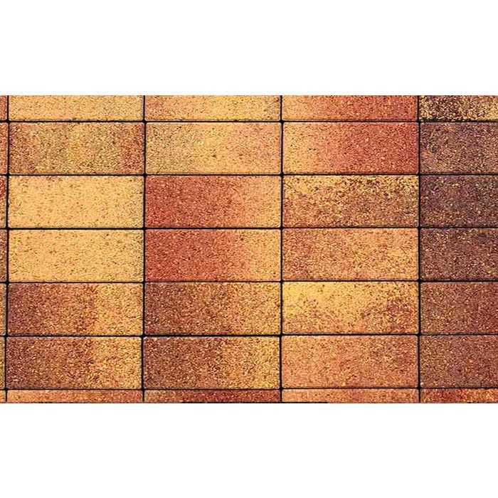 Плитка тротуарная Паркет Б.4.П.6 Листопад гранит Осень 180x60x60 мм